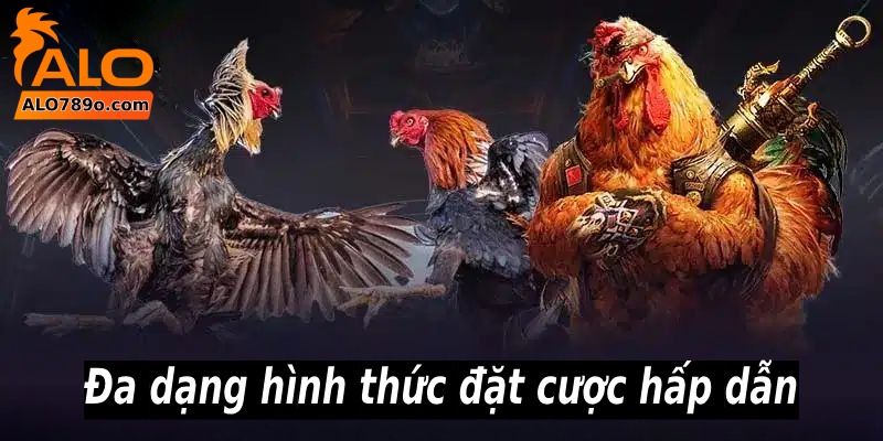 ALO789 – Nhà Cái Alo789 Đá Gà Thomo Độc Quyền Tại Châu Á 5 Đa dạng hình thức đặt cược hấp dẫn